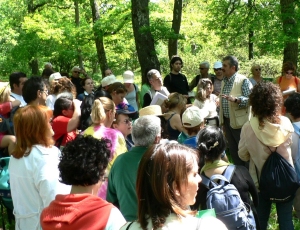  Corso di erboristeria 