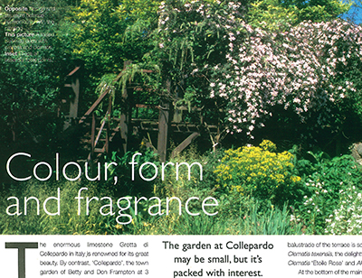 The garden Collepardo