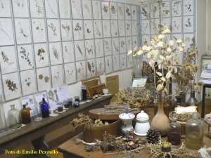 Museo delle Erbe