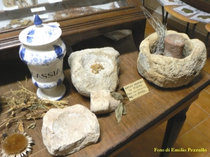 Museo delle Erbe